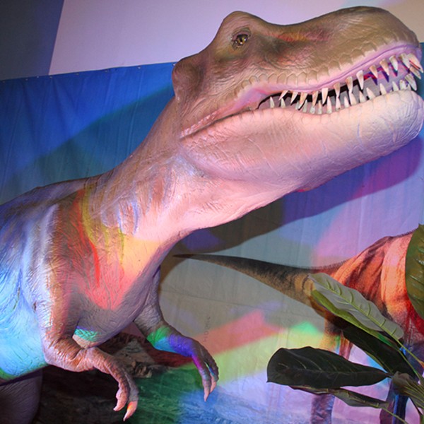 Выставка динозавров колизей. Музей Алабина динозавры. Музей Алабина Самара динозавры. Выставка динозавров. Выставка динозавров в музее.